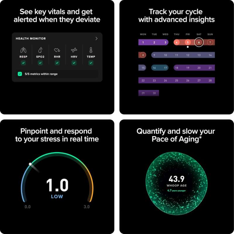 WHOOP 5.0/MG Activity Tracker - 12 Month Membership - Health and Fitness Wearable – 24/7 Activity and Sleep Tracker, Personalized Coaching, Menstrual Cycle Insights – 14+ Days Battery Life - Image 2
